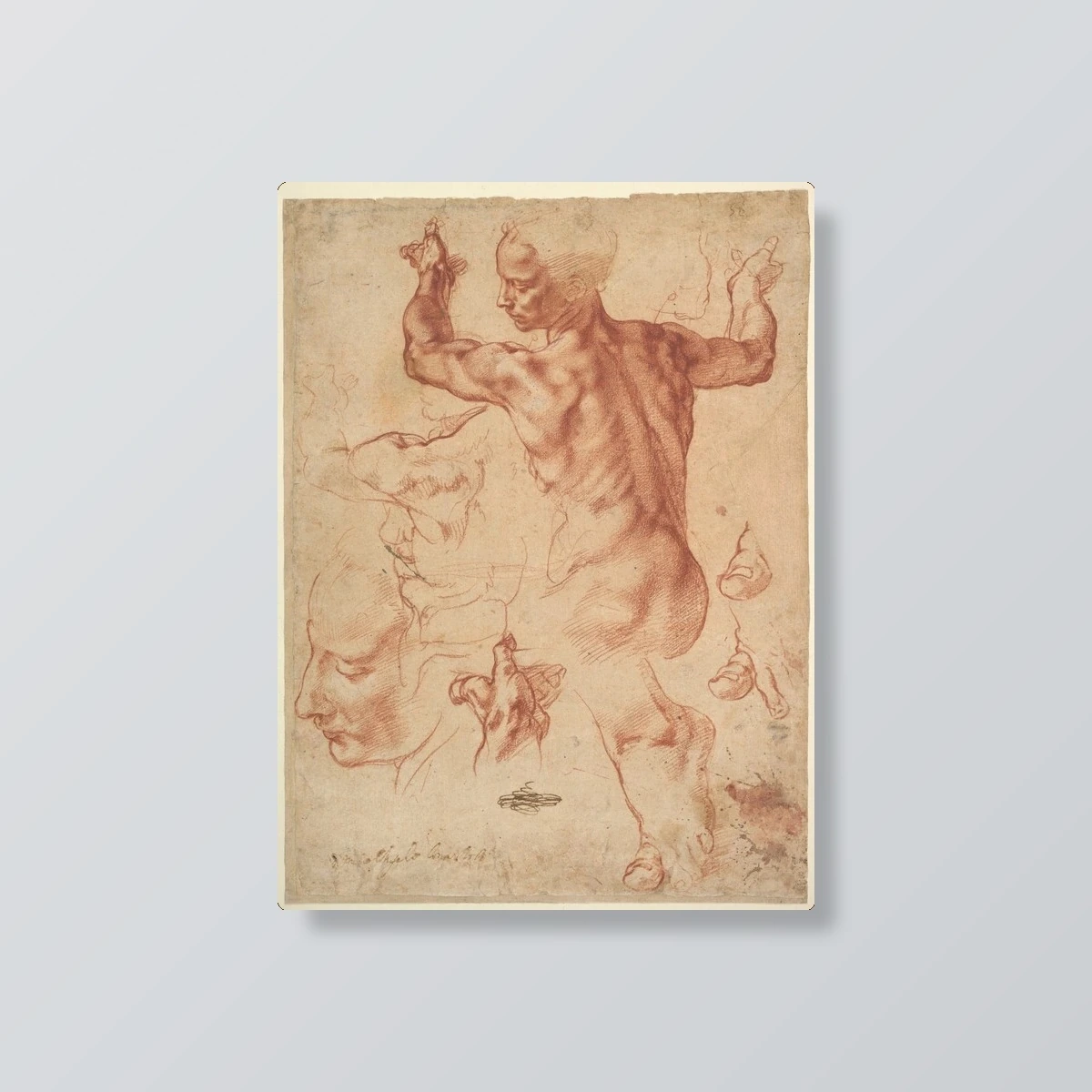 Michelangelo_Painting_Collection(Michelangelo_Painting_Collection)