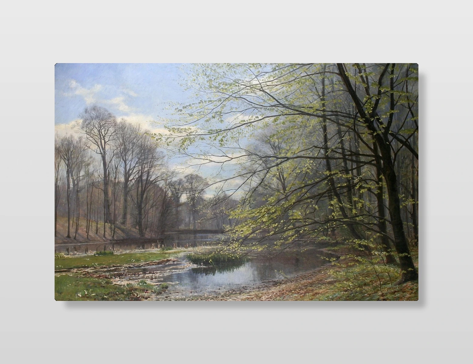Spring Forest Stream Landscape(Spring Forest Stream Landscape)