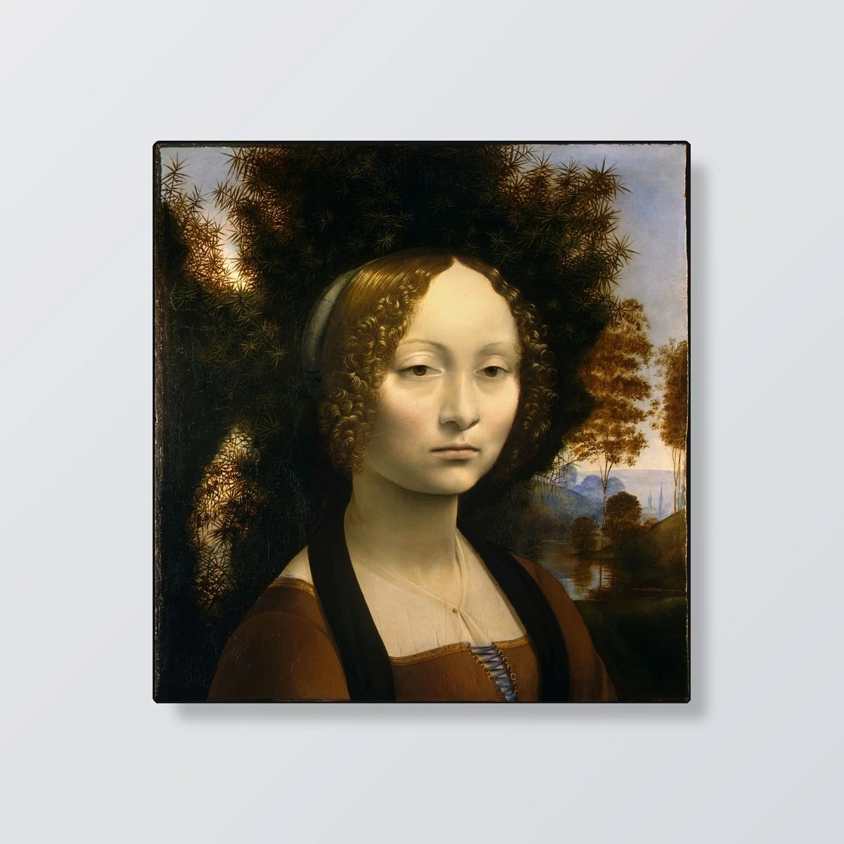 Ginevra de Benci(Ginevra de Benci)