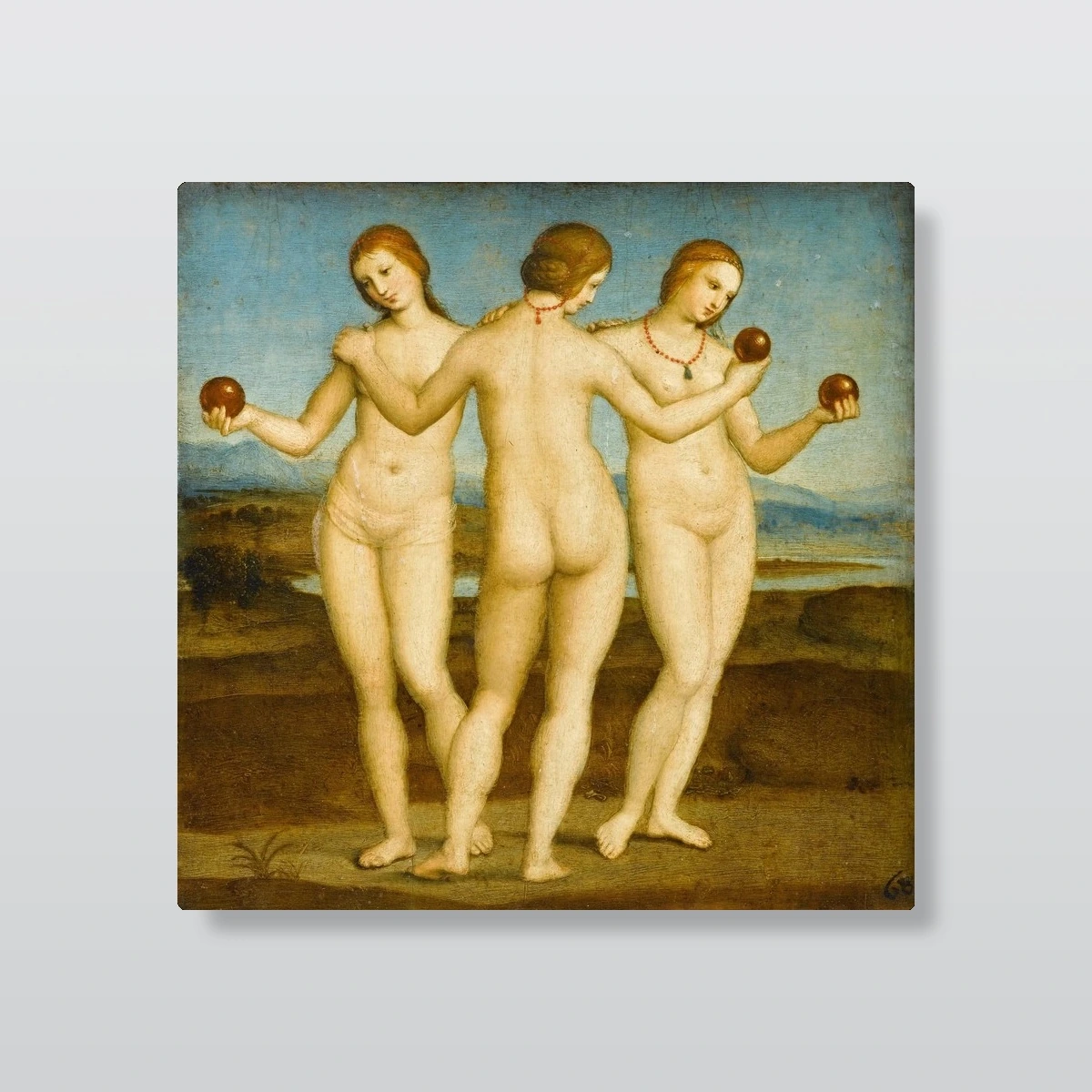 The Three Graces(The Three Graces)