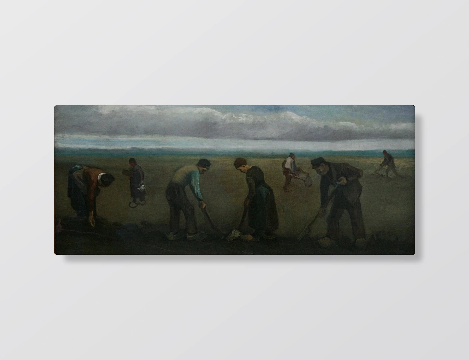 The Sower(The Sower)