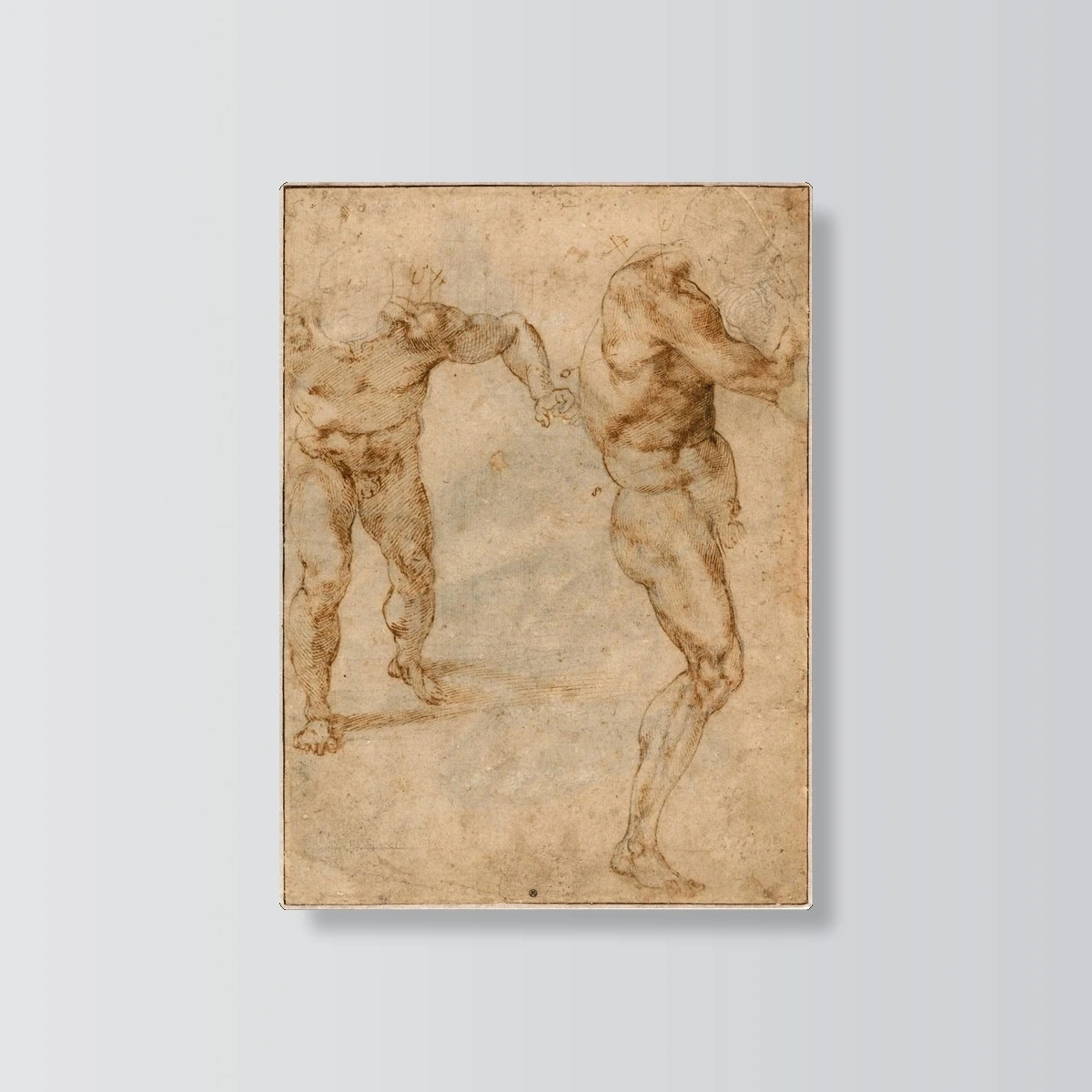 Male Nude Studies by Michelangelo(Male Nude Studies by Michelangelo)