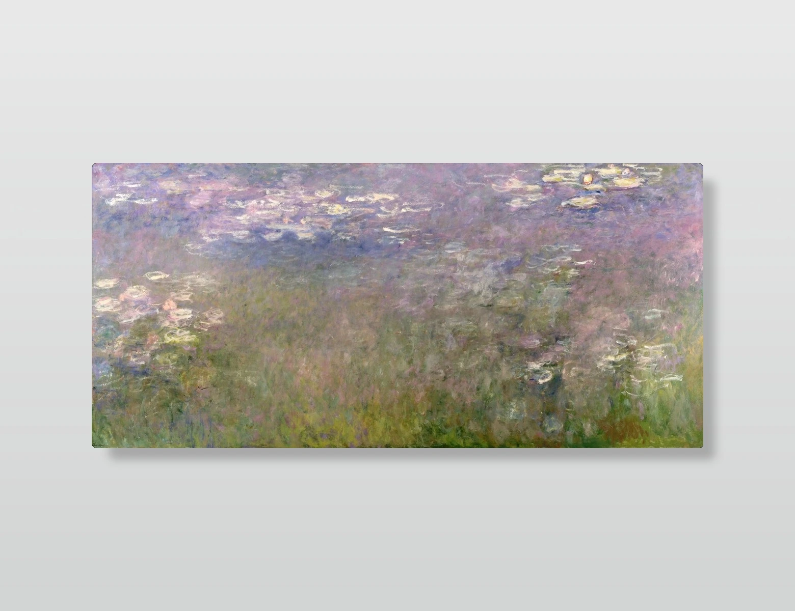 Water Lilies(Water Lilies)