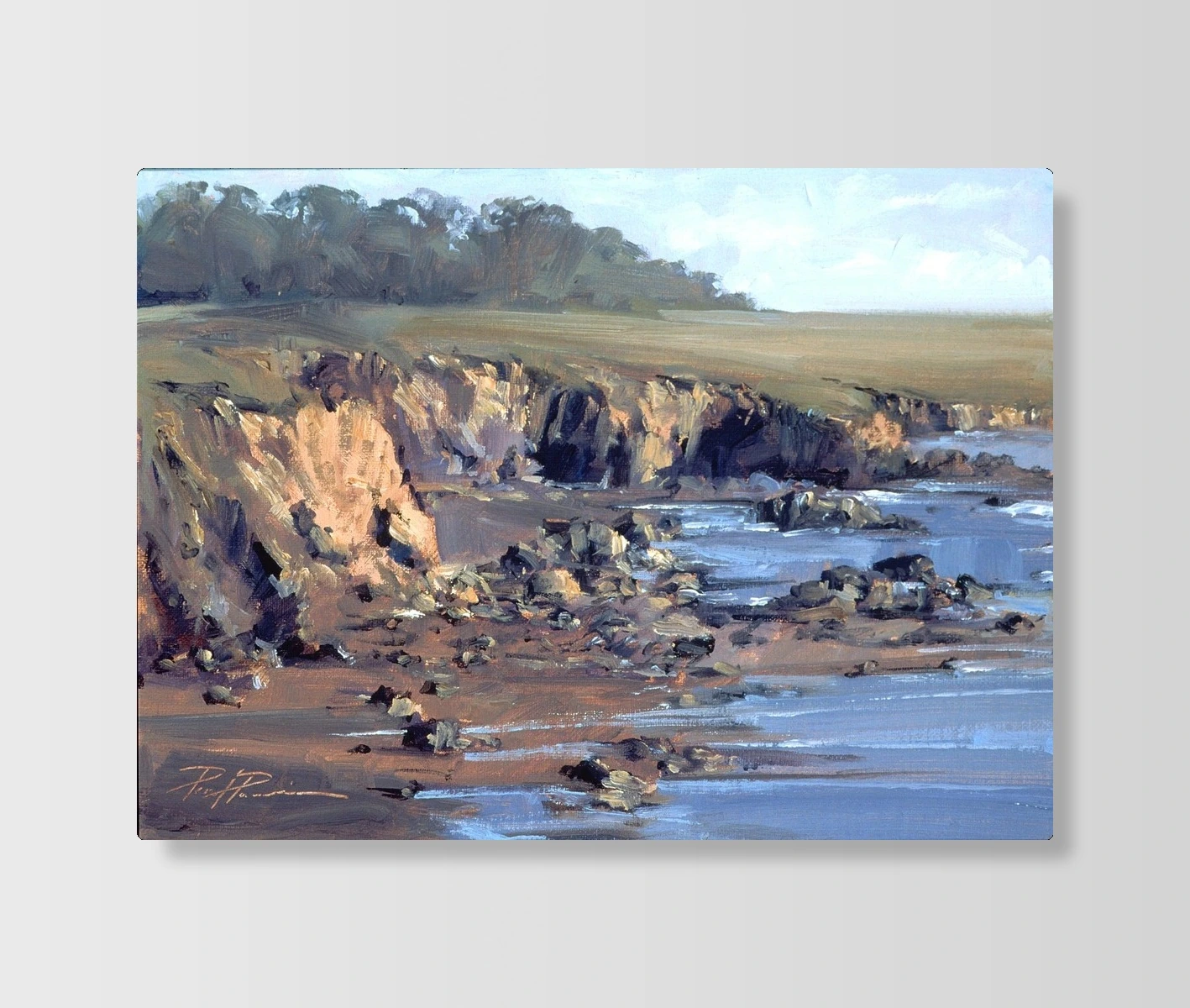 Coastal Cliff Landscape(海岸悬崖风光)