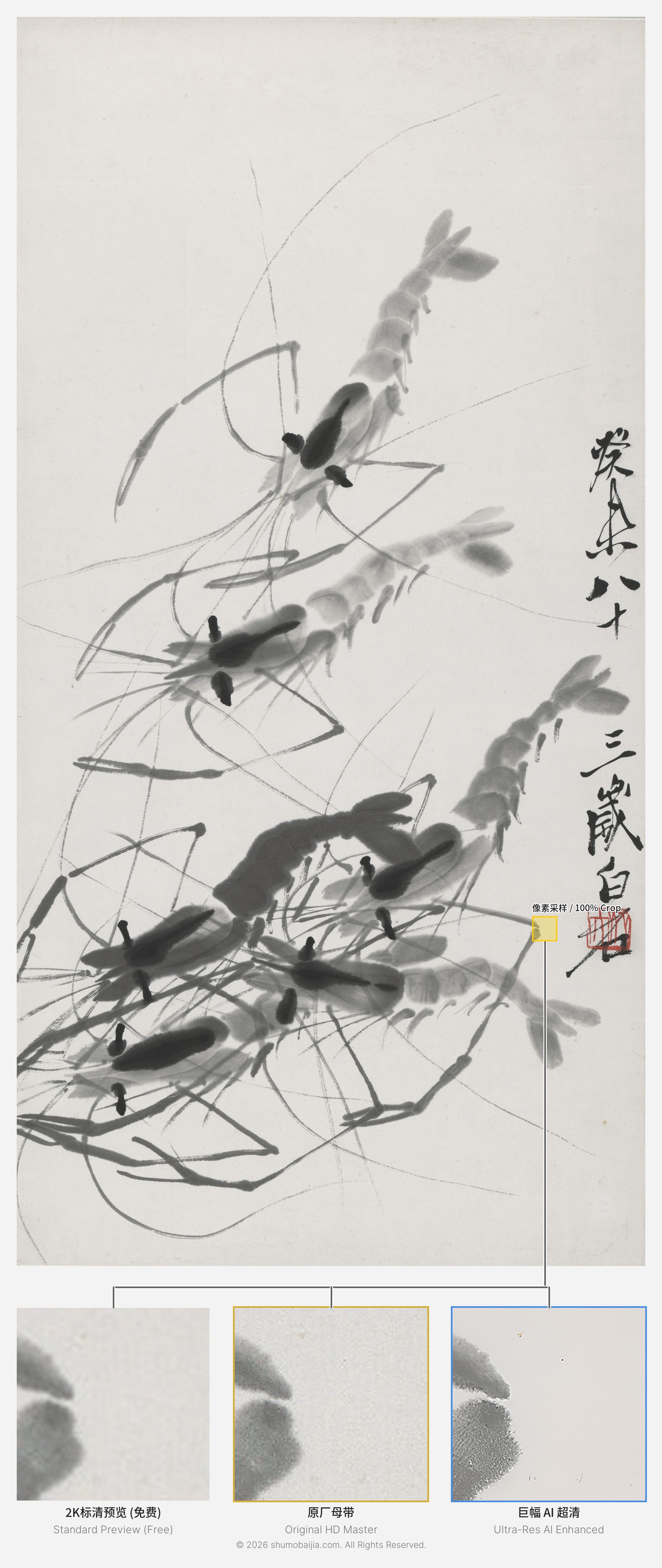 Qi Baishi Shrimp